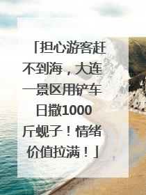 担心游客赶不到海，大连一景区用铲车日撒1000斤蚬子！情绪价值拉满！
