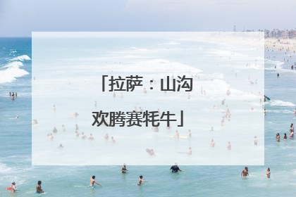 拉萨：山沟欢腾赛牦牛