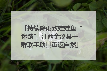 持续降雨致娃娃鱼“迷路” 江西金溪县干群联手助其重返自然
