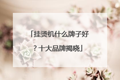 挂烫机什么牌子好？十大品牌揭晓