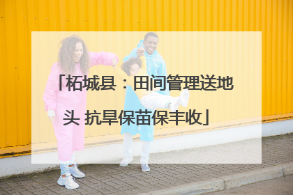 柘城县：田间管理送地头 抗旱保苗保丰收