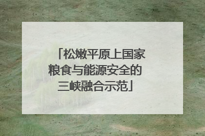 松嫩平原上国家粮食与能源安全的三峡融合示范