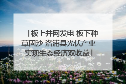 板上并网发电 板下种草固沙 洛浦县光伏产业实现生态经济双收益