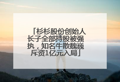 杉杉股份创始人长子全部持股被强执，知名牛散魏巍斥资1亿元入局
