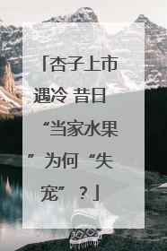 杏子上市遇冷 昔日“当家水果”为何“失宠”？