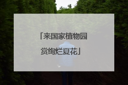 来国家植物园 赏绚烂夏花