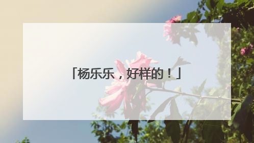 杨乐乐，好样的！