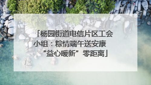 杨园街道电信片区工会小组：粽情端午送安康 “益心暖新”零距离