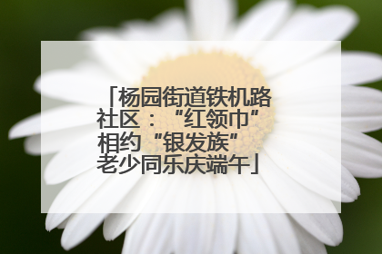 杨园街道铁机路社区：“红领巾”相约“银发族” 老少同乐庆端午