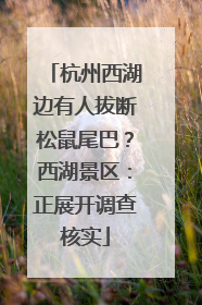 杭州西湖边有人拔断松鼠尾巴？西湖景区：正展开调查核实