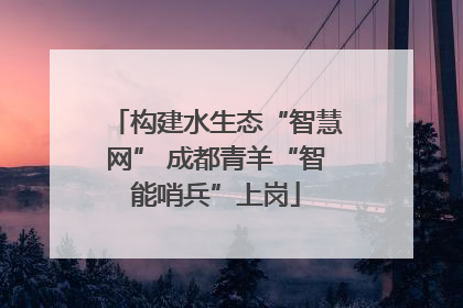 构建水生态“智慧网” 成都青羊“智能哨兵”上岗