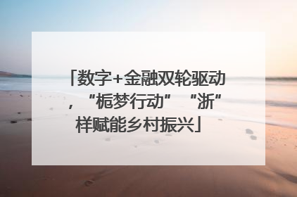 数字+金融双轮驱动，“栀梦行动”“浙”样赋能乡村振兴