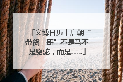 文博日历丨唐朝“带货一哥”不是马不是骆驼，而是……