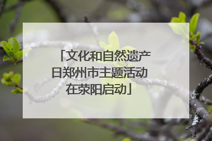 文化和自然遗产日郑州市主题活动在荥阳启动