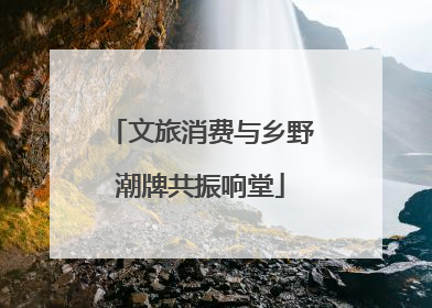 文旅消费与乡野潮牌共振响堂