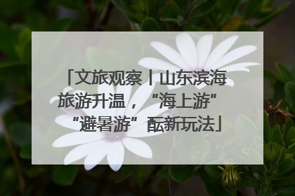 文旅观察丨山东滨海旅游升温，“海上游”“避暑游”酝新玩法