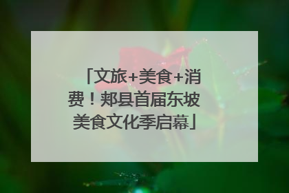 文旅+美食+消费！郏县首届东坡美食文化季启幕