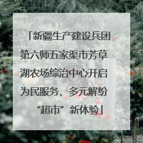 新疆生产建设兵团第六师五家渠市芳草湖农场综治中心开启为民服务、多元解纷“超市”新体验