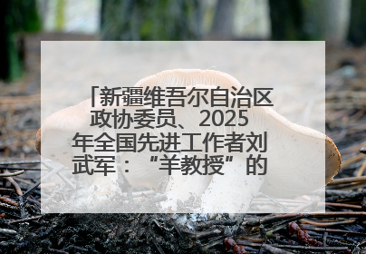 新疆维吾尔自治区政协委员、2025年全国先进工作者刘武军：“羊教授”的“中国芯”