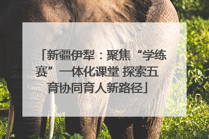 新疆伊犁：聚焦“学练赛”一体化课堂 探索五育协同育人新路径