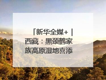 新华全媒+｜西藏：黑颈鹤家族高原湿地喜添“萌宝”
