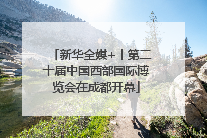 新华全媒+丨第二十届中国西部国际博览会在成都开幕