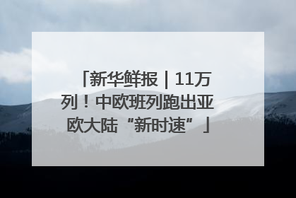 新华鲜报｜11万列！中欧班列跑出亚欧大陆“新时速”