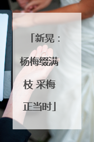 新晃：杨梅缀满枝 采梅正当时