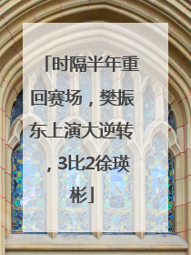 时隔半年重回赛场，樊振东上演大逆转，3比2徐瑛彬