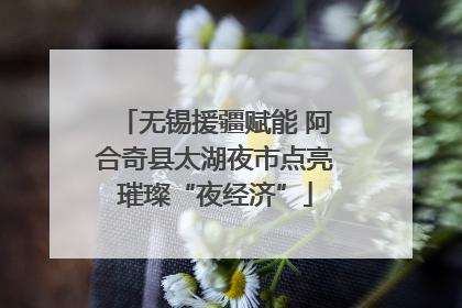 无锡援疆赋能 阿合奇县太湖夜市点亮璀璨“夜经济”