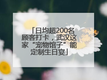日均超200名顾客打卡，武汉这家“宠物馆子”能定制生日宴