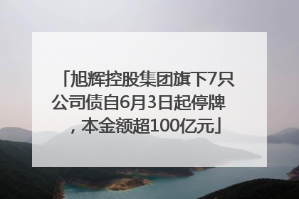 旭辉控股集团旗下7只公司债自6月3日起停牌，本金额超100亿元