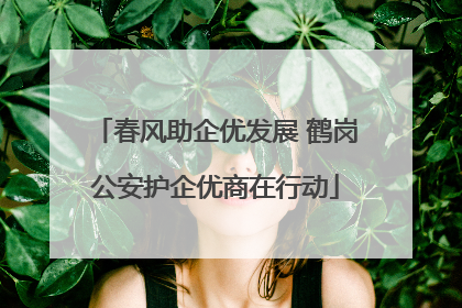 春风助企优发展 鹤岗公安护企优商在行动