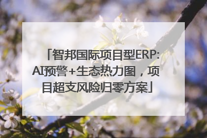 智邦国际项目型ERP:AI预警+生态热力图，项目超支风险归零方案