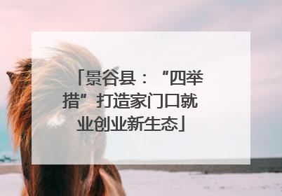 景谷县：“四举措”打造家门口就业创业新生态