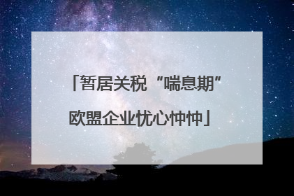暂居关税“喘息期” 欧盟企业忧心忡忡