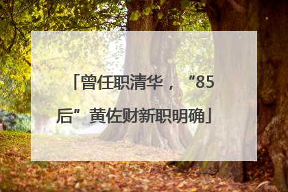 曾任职清华，“85后”黄佐财新职明确