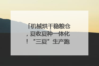 机械烘干稳粮仓，夏收夏种一体化！“三夏”生产跑出加速度｜麦报