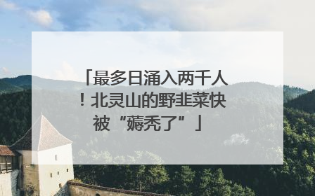 最多日涌入两千人！北灵山的野韭菜快被“薅秃了”