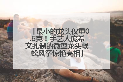 最小的龙头仅重0.6克！手艺人庞希文扎制的微型龙头蜈蚣风筝惊艳亮相