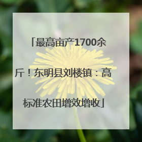 最高亩产1700余斤！东明县刘楼镇：高标准农田增效增收