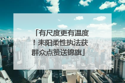有尺度更有温度！耒阳柔性执法获群众点赞送锦旗