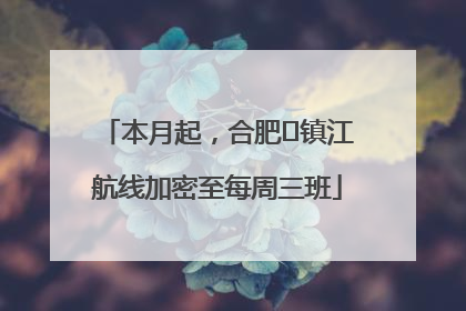 本月起，合肥⇋镇江航线加密至每周三班