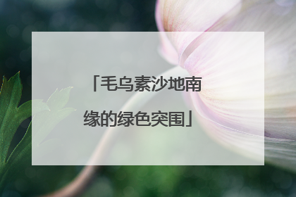 毛乌素沙地南缘的绿色突围