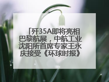 歼35A即将亮相巴黎航展，中航工业沈阳所首席专家王永庆接受《环球时报》专访：未来数量可以有很多