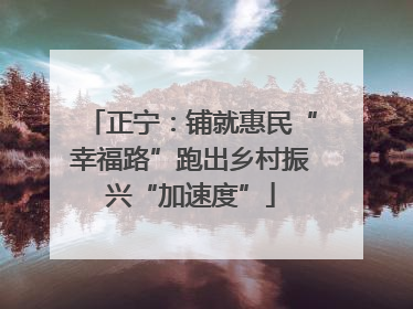 正宁：铺就惠民“幸福路”跑出乡村振兴“加速度”