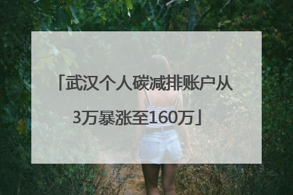 武汉个人碳减排账户从3万暴涨至160万