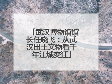 武汉博物馆馆长任晓飞：从武汉出土文物看千年江城变迁