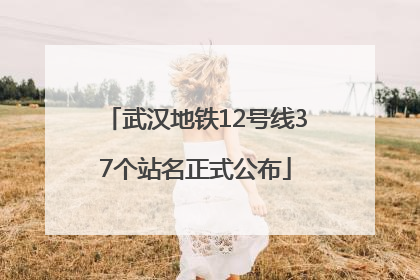 武汉地铁12号线37个站名正式公布