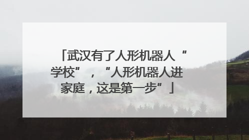 武汉有了人形机器人“学校”，“人形机器人进家庭，这是第一步”